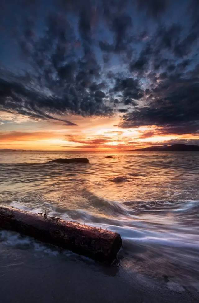 1483428166132304.jpg 3.jpg