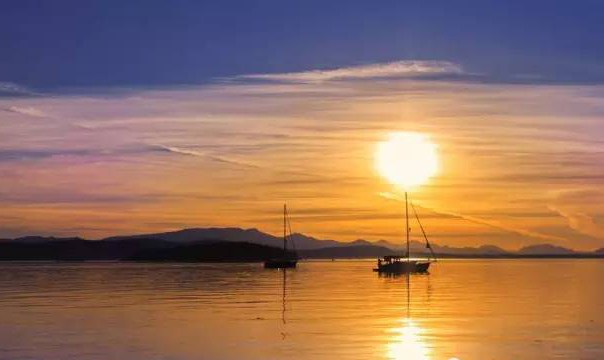 1483428189384939.jpg 4.jpg