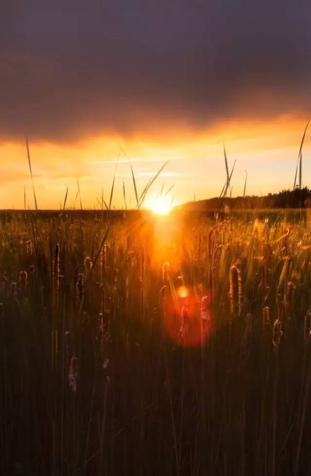 1483428238471746.jpg 6.jpg