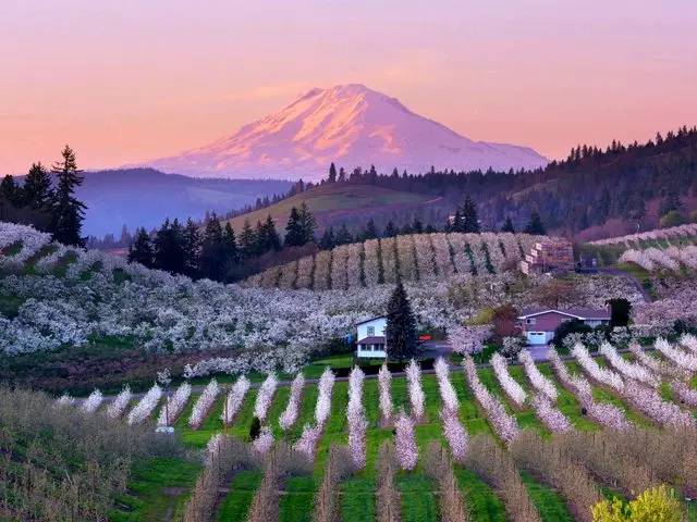 1483516301993212.jpg 0.jpg