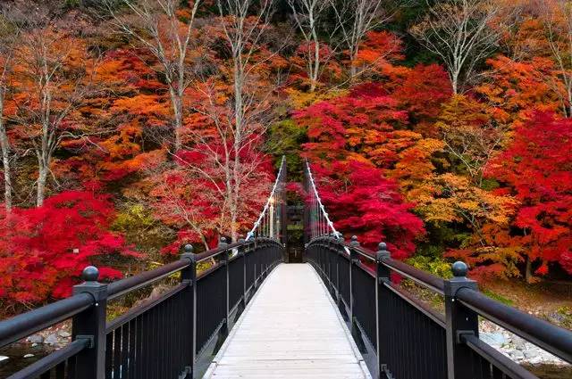 1483516366802907.jpg 0.jpg