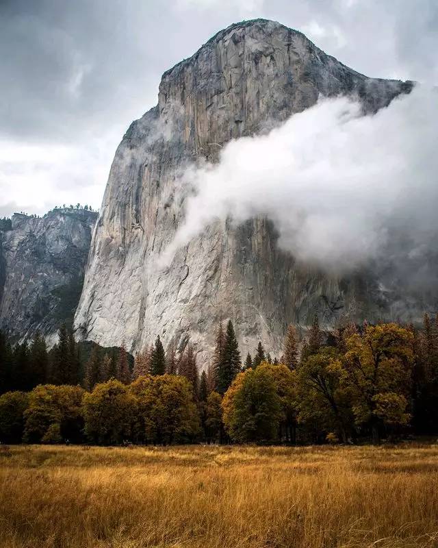 1483516501830939.jpg 0.jpg