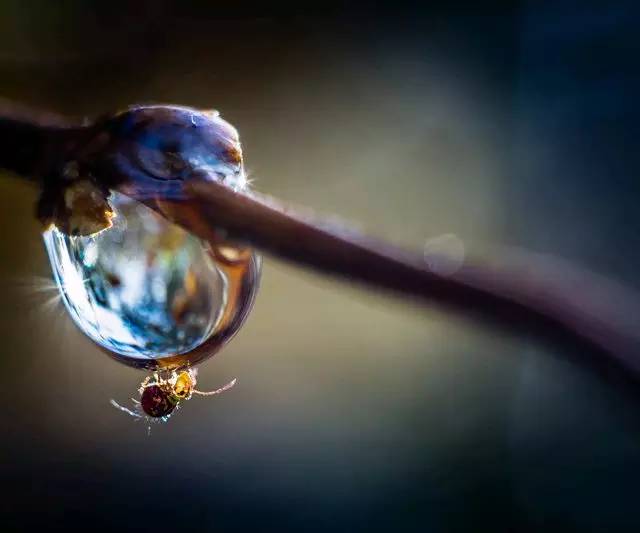 1483516759629981.jpg 0.jpg