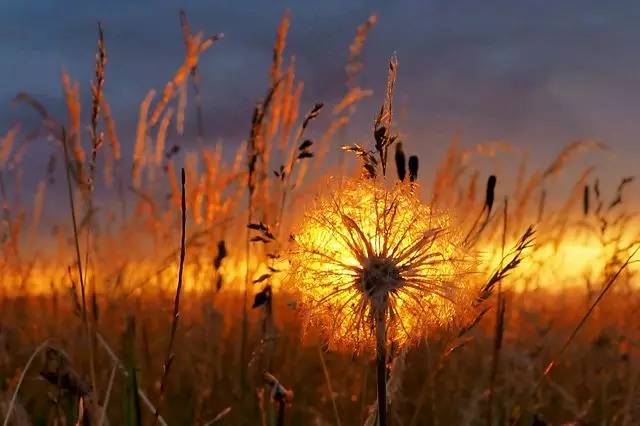 1483516892694570.jpg 0.jpg