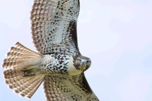 1483516913423727.jpg 0.jpg