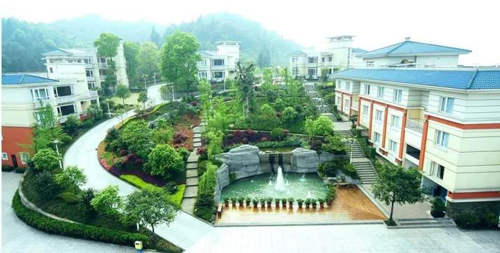 1509330885685135.jpg 11.jpg