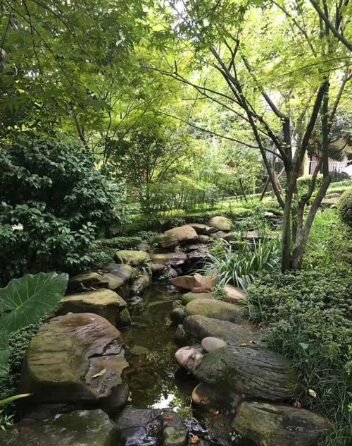 1509330895996404.jpg 12.jpg