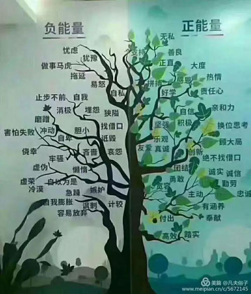 1513504408605932.jpg 19.jpg